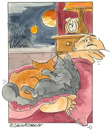 そらのイメージ