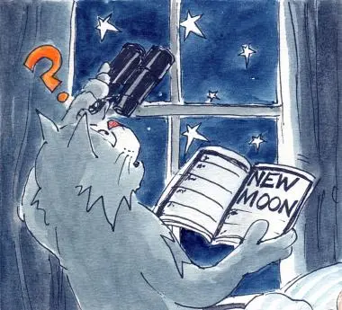 そらのイメージ